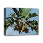 Palm Tree Deluxe Canvas 14  x 11  (Stretched)