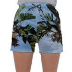 Palm Tree Sleepwear Shorts