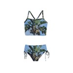Palm Tree Girls  Tankini Swimsuit