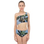 Palm Tree Spliced Up Two Piece Swimsuit