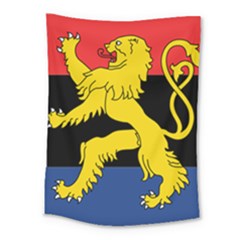 Flag Of Benelux Union Medium Tapestry by abbeyz71