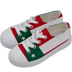 Flag Of The Republic Of Yucatán Kids  Low Top Canvas Sneakers by abbeyz71