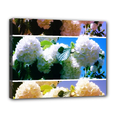 Snowball Branch Collage (i) Canvas 14  X 11  (stretched) by okhismakingart