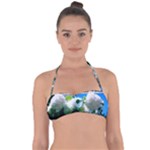 Snowball Branch Collage (I) Halter Bandeau Bikini Top