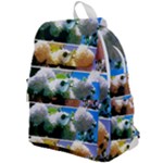 Snowball Branch Collage (I) Top Flap Backpack