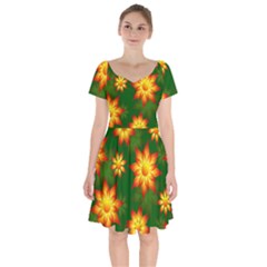 Flower Pattern Floral Non Seamless Short Sleeve Bardot Dress by Pakrebo