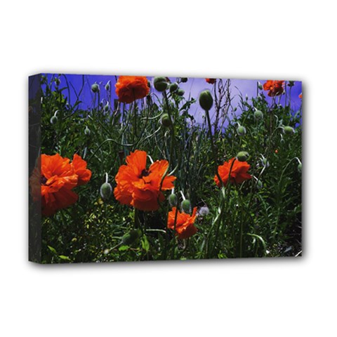 Poppy Field Deluxe Canvas 18  X 12  (stretched) by okhismakingart