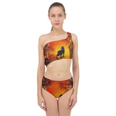 Wonderful Wolf In The Night Spliced Up Two Piece Swimsuit by FantasyWorld7