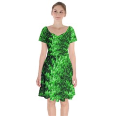 Green Abstract Fractal Background Short Sleeve Bardot Dress by Pakrebo
