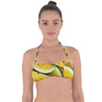 Sliced Watermelon Lot Halter Bandeau Bikini Top