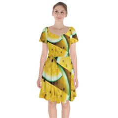 Sliced Watermelon Lot Short Sleeve Bardot Dress by Pakrebo