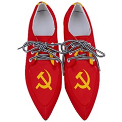 Flag Of Chinese Workers  And Peasants  Red Army, 1934-1937 Pointed Oxford Shoes by abbeyz71