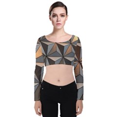 3d Abstract  Pattern Velvet Long Sleeve Crop Top by Sudhe