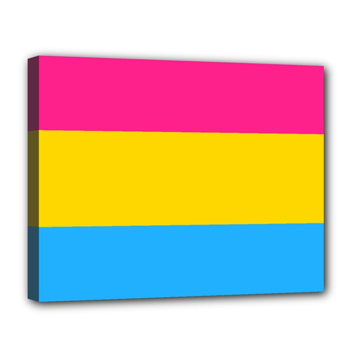 Pansexual Pride Flag Canvas 14  x 11  (Stretched)