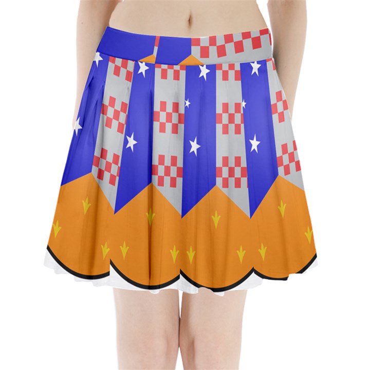 Coat of Arms of Magallanes Region, Chile Pleated Mini Skirt