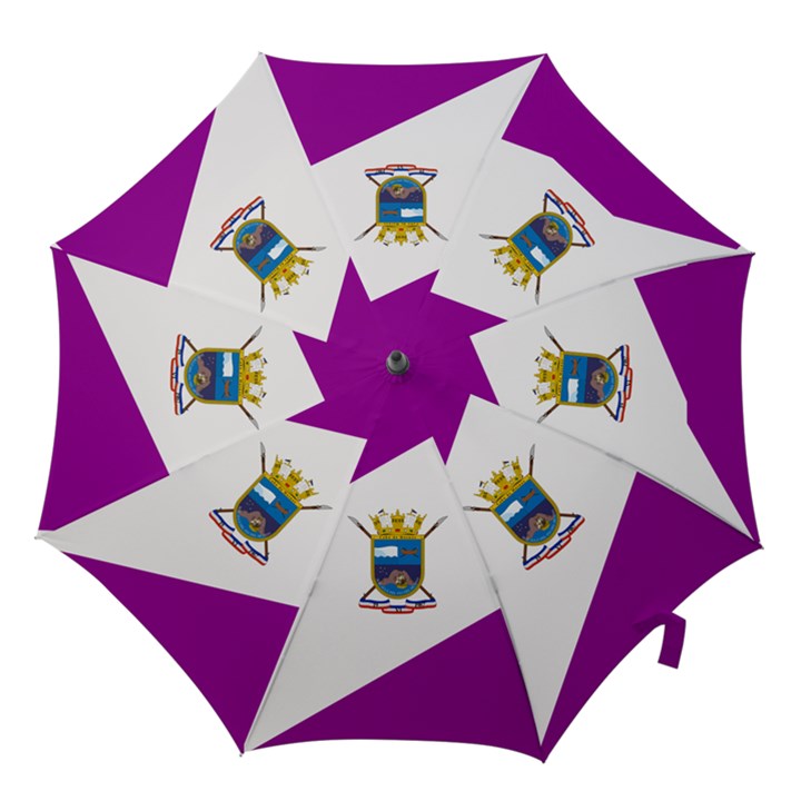 Flag of Cabo de Hornos Hook Handle Umbrellas (Small)