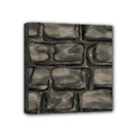 Stone Patch Sidewalk Mini Canvas 4  x 4  (Stretched)