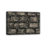 Stone Patch Sidewalk Mini Canvas 6  x 4  (Stretched)