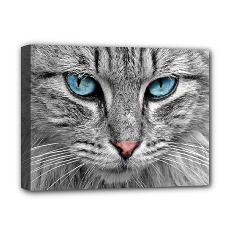 Cat Animal Cat Portrait Mackerel Deluxe Canvas 16  X 12  (stretched) 