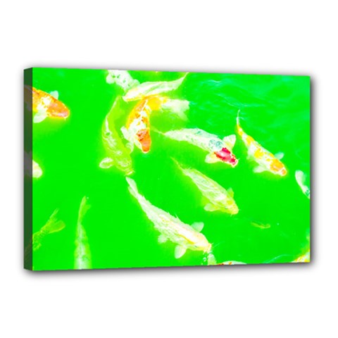 Koi Carp Scape Canvas 18  X 12  (stretched) by essentialimage
