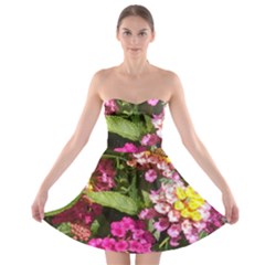 Summer Lantana W Bee Strapless Bra Top Dress by Riverwoman