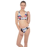 Greater Coat of Arms of the United States Classic Banded Bikini Set 