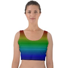 Dark Rainbow Stripes Velvet Crop Top by retrotoomoderndesigns