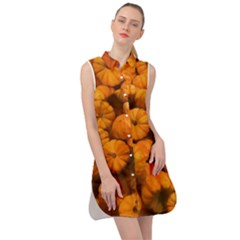 Mini Pumpkins Sleeveless Shirt Dress by bloomingvinedesign