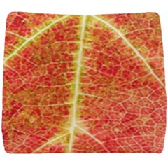 Plant Vineyard Wine Sunlight Texture Leaf Pattern Green Red Color Macro Autumn Circle Vein Sunny  Seat Cushion by Vaneshart