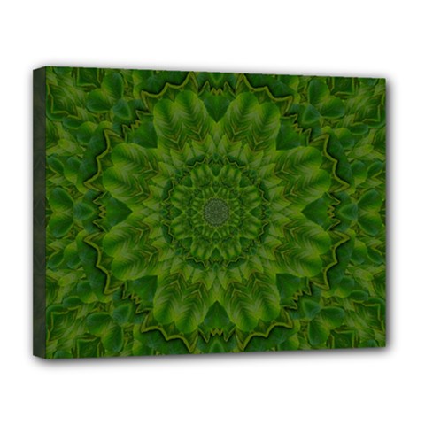 Fauna Nature Ornate Leaf Canvas 14  X 11  (stretched) by pepitasart