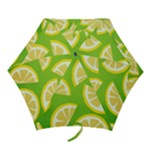 Lemon Fruit Healthy Fruits Food Mini Folding Umbrellas