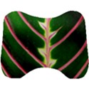 Exotic Green Leaf Head Support Cushion View1