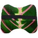 Exotic Green Leaf Head Support Cushion View2