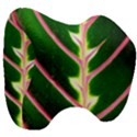 Exotic Green Leaf Head Support Cushion View3