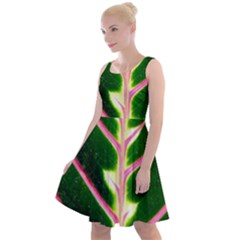 Exotic Green Leaf Knee Length Skater Dress by Vaneshart