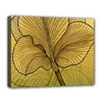 Leaves Design Pattern Nature Canvas 14  x 11  (Stretched)