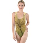 Leaves Design Pattern Nature High Leg Strappy Swimsuit