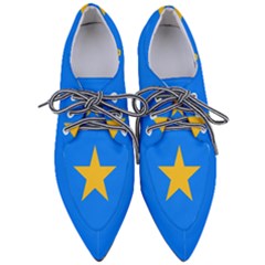 Flag Of The Democratic Republic Of The Congo, 2003-2006 Women s Pointed Oxford Shoes by abbeyz71