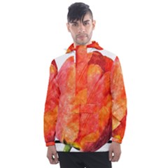 Tulip Watercolor Red And Black Stripes Men s Front Pocket Pullover Windbreaker by picsaspassion