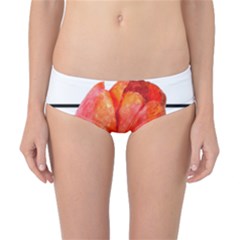 Tulip Watercolor Red And Black Stripes Classic Bikini Bottoms by picsaspassion