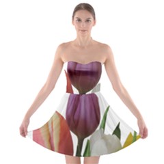 Tulips Spring Bouquet Strapless Bra Top Dress by picsaspassion