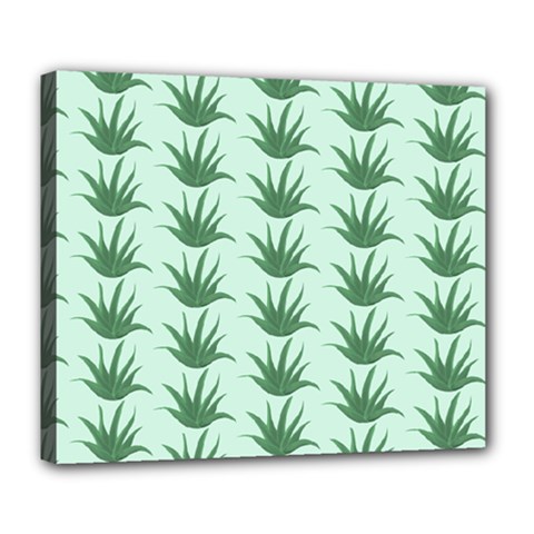 Aloe Plants Pattern Scrapbook Deluxe Canvas 24  X 20  (stretched)
