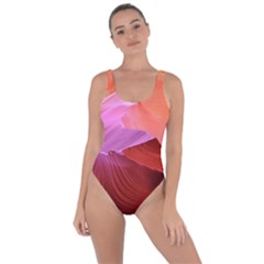 Canyon Arizona Sand Stone Bring Sexy Back Swimsuit by Vaneshart