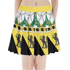 Coat Of Arms Of United States Army 124th Cavalry Regiment Pleated Mini Skirt by abbeyz71