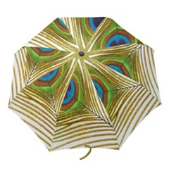Peacock Feather Plumage Colorful Folding Umbrellas by Sapixe