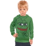 Pepe The Frog Smug face with smile and hand on chin meme Kekistan all over print green Kids  Hooded Pullover