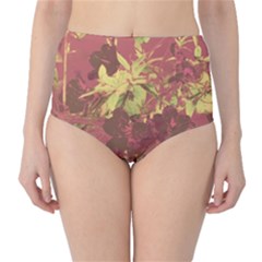 Tropical Vintage Floral Artwork Print Classic High-waist Bikini Bottoms by dflcprintsclothing