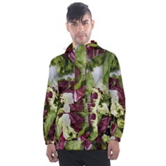 Salad Lettuce Vegetable Men s Front Pocket Pullover Windbreaker by Sapixe