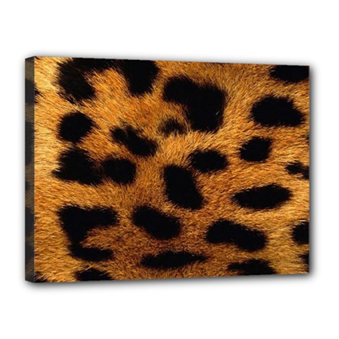 Leopard Skin Pattern Background Canvas 16  X 12  (stretched) by Vaneshart
