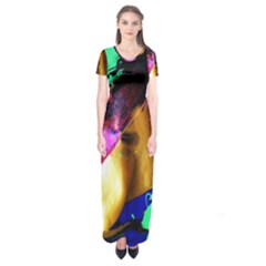 Global Warming 9 Short Sleeve Maxi Dress by bestdesignintheworld